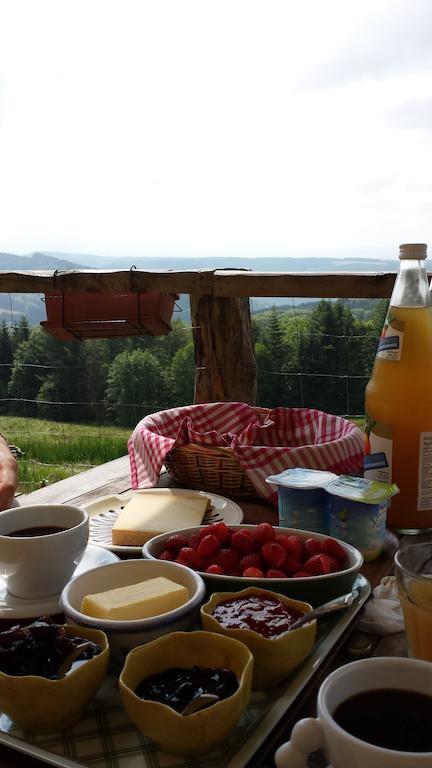 Les Grandes Fontaines Bed & Breakfast La Longine Exterior photo
